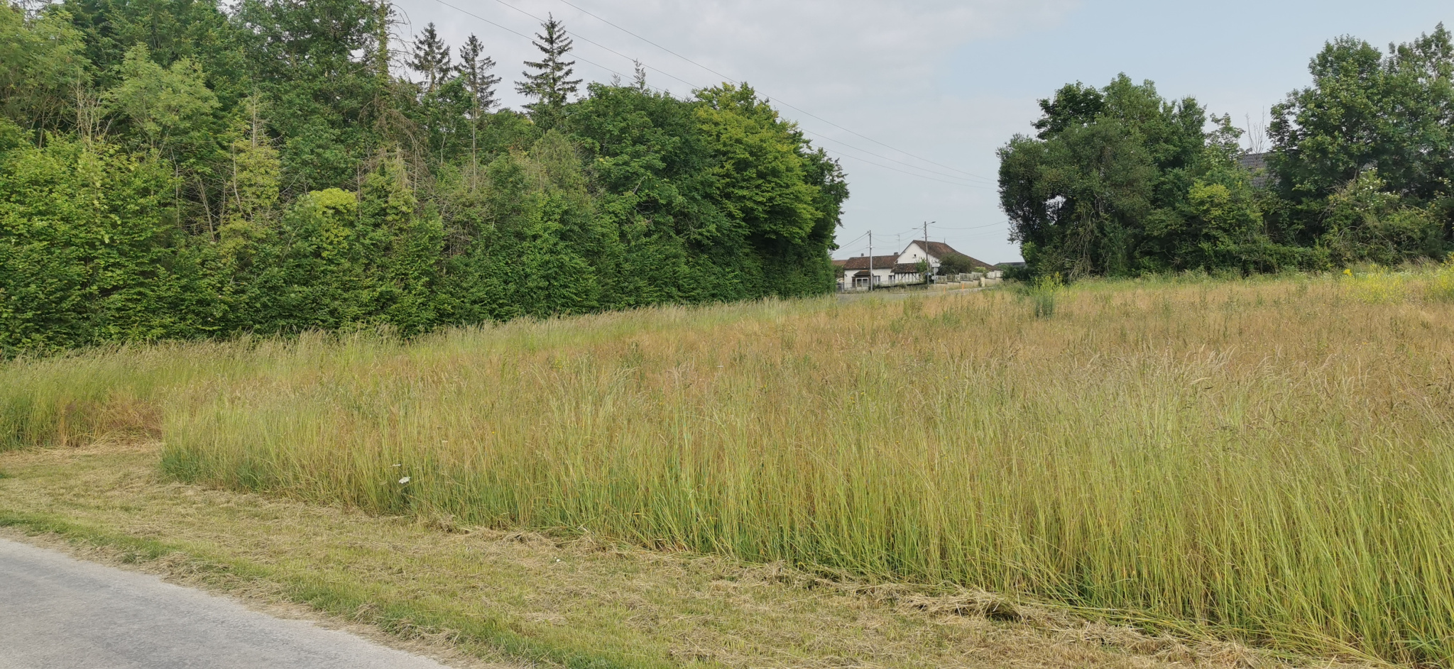 Agence immobilière de Du coté de chez vous